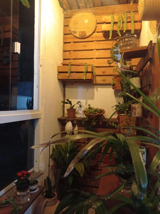 Apartamento Excelente Apartamento Com 2 Nos Ingleses