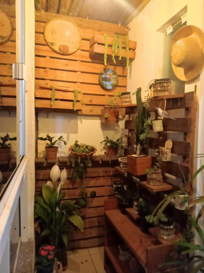 Apartamento Excelente Apartamento Com 2 Nos Ingleses Florianópolis